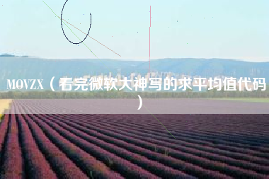 MOVZX（看完微软大神写的求平均值代码）