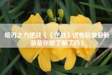 暗刃之力逆战（《逆战》这些联盟最新装备你都了解了吗）
