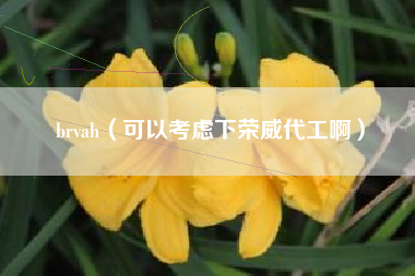 brvah（可以考虑下荣威代工啊）