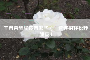 王者荣耀脆皮有哪些（一套连招轻松秒脆皮）
