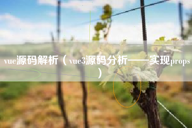 vue源码解析（vue3源码分析——实现props）