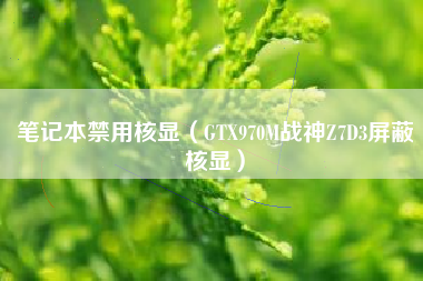 笔记本禁用核显（GTX970M战神Z7D3屏蔽核显）