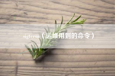 sigterm（运维用到的命令）