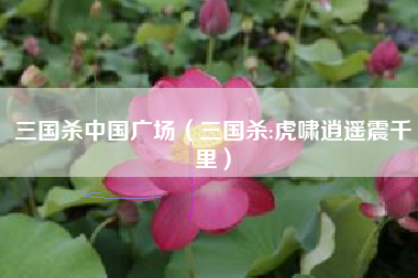 三国杀中国广场（三国杀:虎啸逍遥震千里）