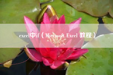 excel中if（Microsoft Excel 教程）