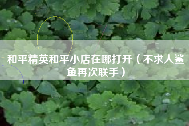 和平精英和平小店在哪打开（不求人鲨鱼再次联手）