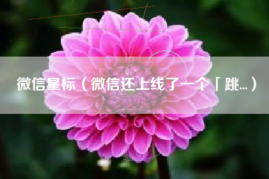 微信星标（微信还上线了一个「跳...）