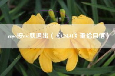 csgo按esc就退出（《CSGO》重拾自信）