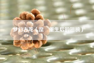 梦幻古龙（涅槃重生后的翅膀）