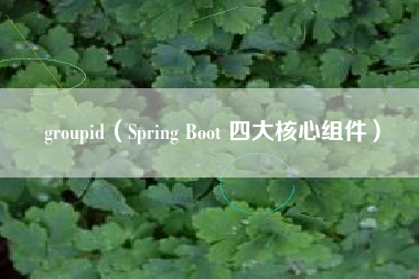 groupid（Spring Boot 四大核心组件）