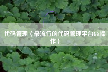 代码管理（最流行的代码管理平台Git操作）