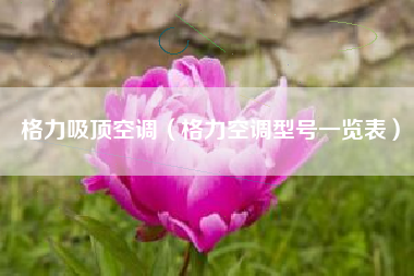 格力吸顶空调（格力空调型号一览表）