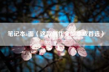笔记本a面（这款创作全能本成首选）