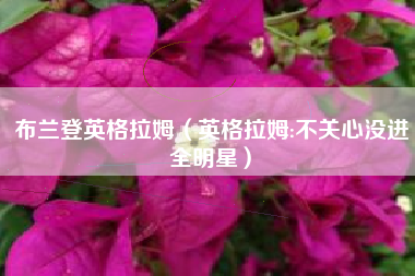 布兰登英格拉姆（英格拉姆:不关心没进全明星）
