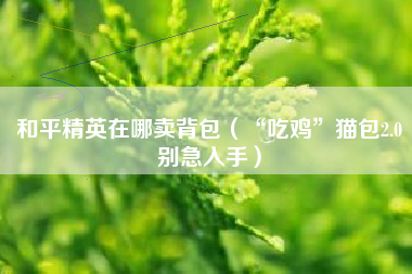 和平精英在哪卖背包（“吃鸡”猫包2.0别急入手）