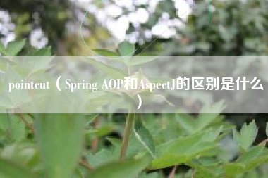 pointcut（Spring AOP和AspectJ的区别是什么）
