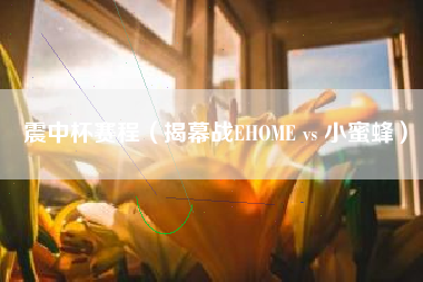 震中杯赛程（揭幕战EHOME vs 小蜜蜂）