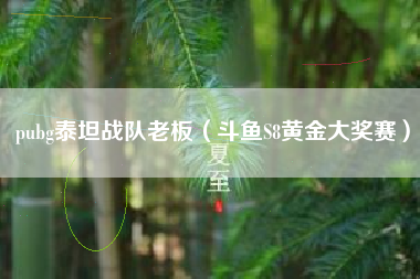 pubg泰坦战队老板（斗鱼S8黄金大奖赛）
