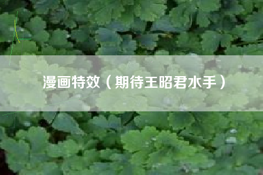 漫画特效（期待王昭君水手）