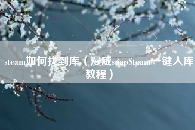 steam如何找到库（漫威snapSteam一键入库教程）