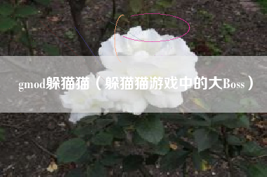 gmod躲猫猫（躲猫猫游戏中的大Boss）