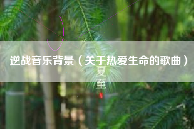 逆战音乐背景（关于热爱生命的歌曲）