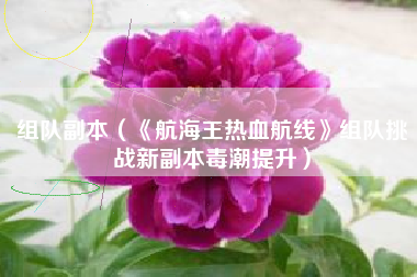 组队副本（《航海王热血航线》组队挑战新副本毒潮提升）