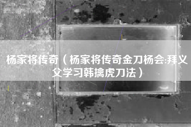 杨家将传奇（杨家将传奇金刀杨会:拜义父学习韩擒虎刀法）