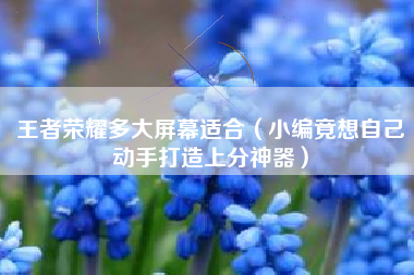 王者荣耀多大屏幕适合（小编竟想自己动手打造上分神器）