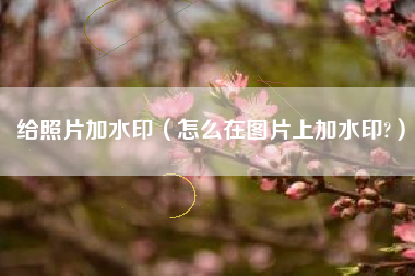 给照片加水印（怎么在图片上加水印?）