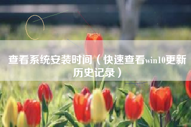 查看系统安装时间（快速查看win10更新历史记录）