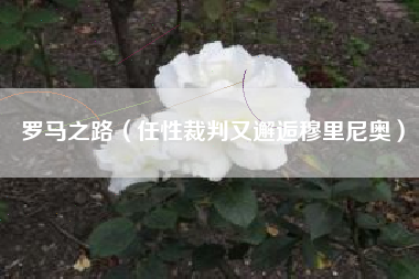 罗马之路（任性裁判又邂逅穆里尼奥）