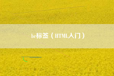 br标签（HTML入门）