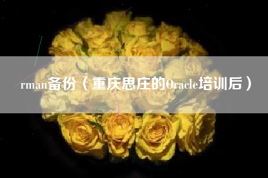 rman备份（重庆思庄的Oracle培训后）