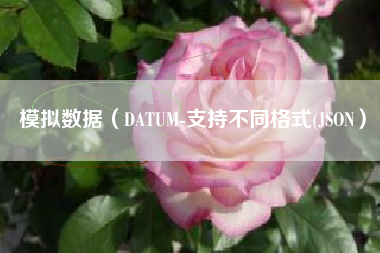 模拟数据（DATUM-支持不同格式(JSON）