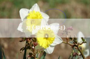 il2（顺式靶向IL-2）