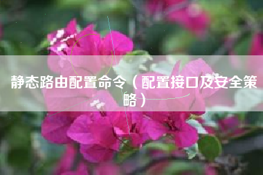 静态路由配置命令（配置接口及安全策略）