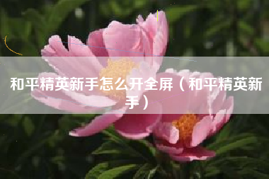 和平精英新手怎么开全屏（和平精英新手）
