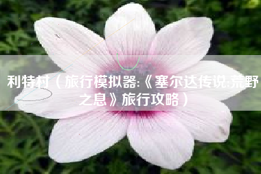 利特村（旅行模拟器:《塞尔达传说:荒野之息》旅行攻略）