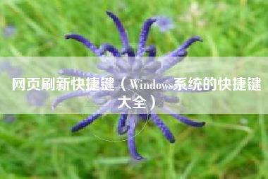 网页刷新快捷键（Windows系统的快捷键大全）