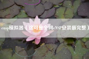 ensp模拟器（这可是全网eNSP安装最完整）