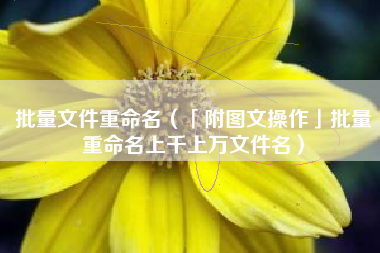批量文件重命名（「附图文操作」批量重命名上千上万文件名）