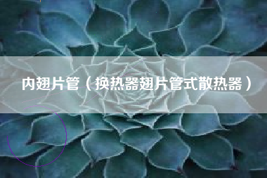 内翅片管（换热器翅片管式散热器）