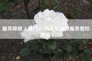 服务降级（通过API网关实现微服务管控-限流）