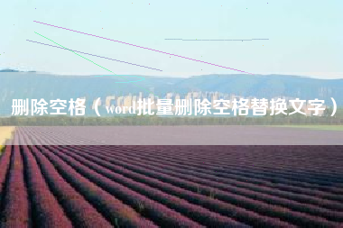 删除空格（word批量删除空格替换文字）