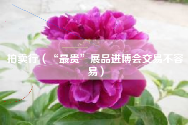 拍卖行（“最贵”展品进博会交易不容易）