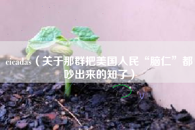 cicadas（关于那群把美国人民“脑仁”都吵出来的知了）