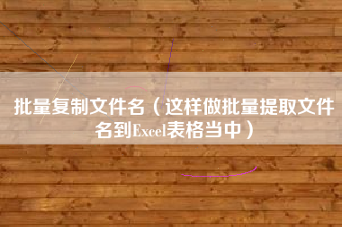批量复制文件名（这样做批量提取文件名到Excel表格当中）