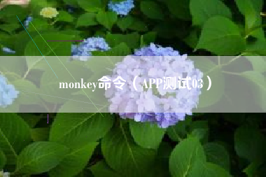 monkey命令（APP测试03）