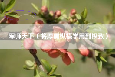 军师天下（将厚黑纵横学用到极致）